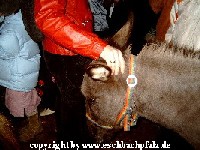 endlich Streicheleinheide