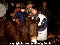 immer die Fu�grange