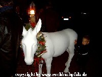 bewech dich du Esel