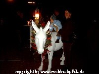 Eselreide fer Af�nger