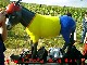 Esel Joe - klicken f�r Infos